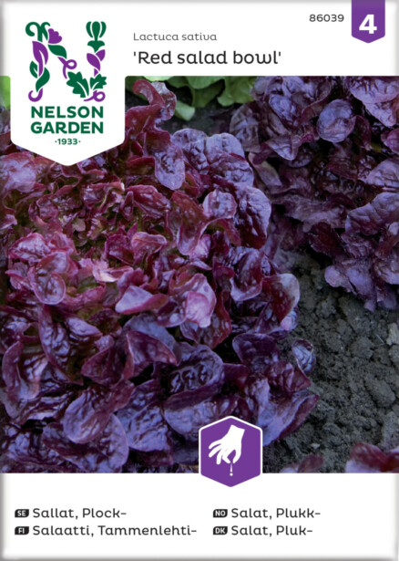 Tammenlehtisalaatti siemen Nelson Garden Red salad bowl