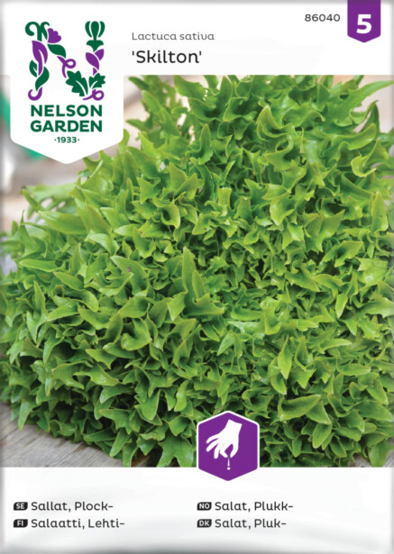 Lehtisalaatti siemen Nelson Garden Skilton