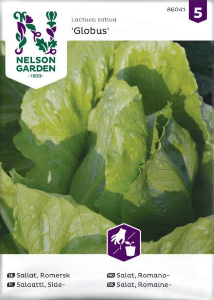 Sidesalaatti siemen Nelson Garden Globus