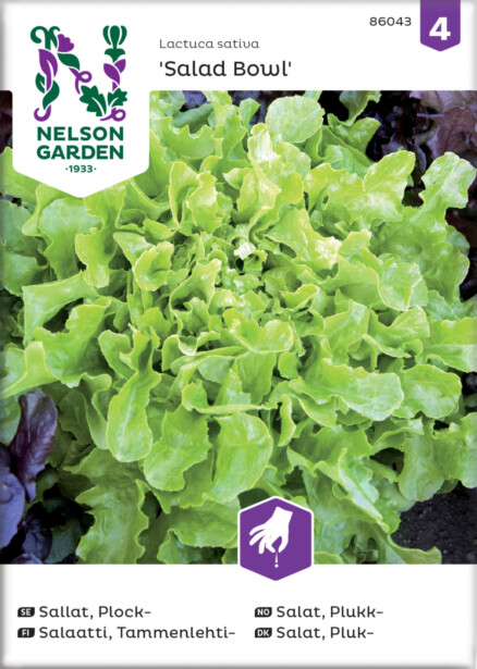 Tammenlehtisalaatti siemen Nelson Garden Salad Bowl