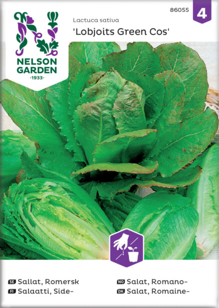 Sidesalaatti siemen Nelson Garden Lobjoits Green Cos