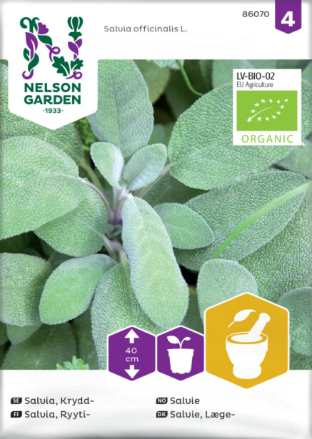 Ryytisalvia siemen Nelson Garden Organic
