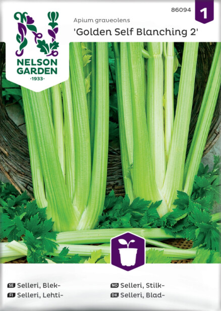 Lehtiselleri siemen Nelson Garden Golden Self Blanching 2