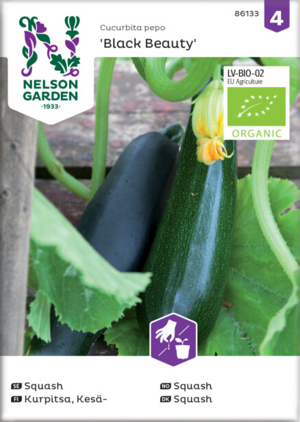 Kesäkurpitsa siemen Nelson Garden Black Beauty Organic