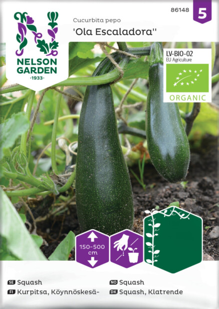 Köynnöskesäkurpitsa siemen Nelson Garden Ola Escaladora Organic