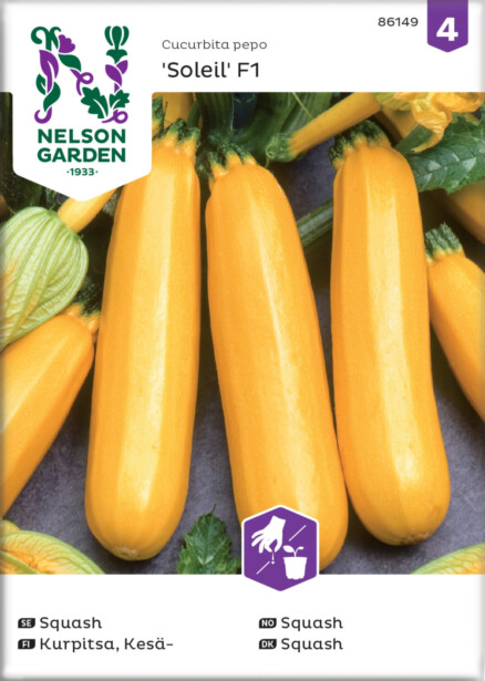 Kesäkurpitsa siemen Nelson Garden Soleil F1