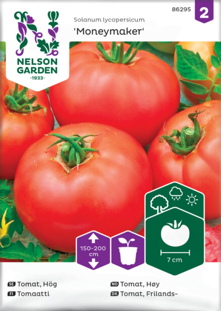 Tomaatti siemen Nelson Garden Moneymaker