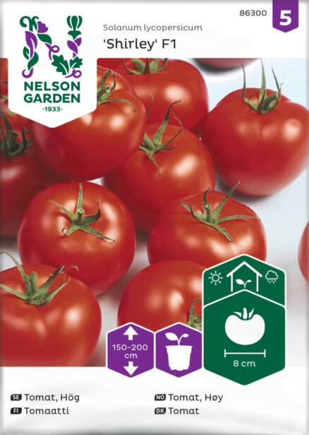 Tomaatti siemen Nelson Garden Shirley F1