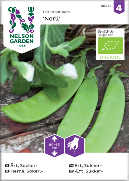 Sokeriherne siemen Nelson Garden Norli Organic