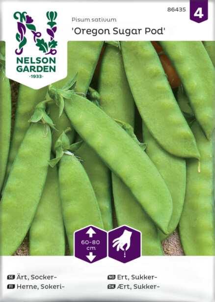 Sokeriherne siemen Nelson Garden Oregon Sugar Pod