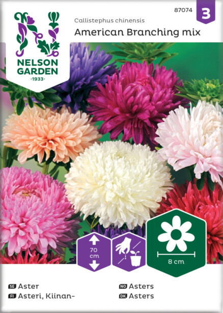 Kiinanasteri siemen Nelson Garden American Branching