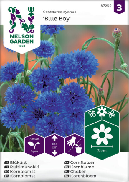 Ruiskaunokki siemen Nelson Garden Blue Boy