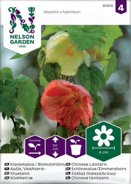 Vaahtera-aulio siemen Nelson Garden