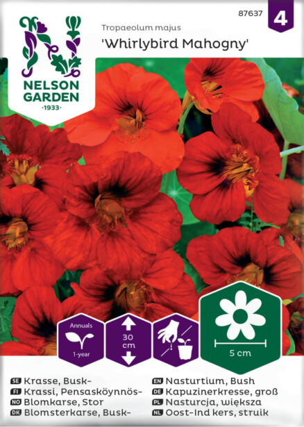 Pensasköynnöskrassi siemen Nelson Garden Whirlybird Mahogany