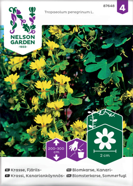 Kanarianköynnöskrassi  siemen Nelson Garden