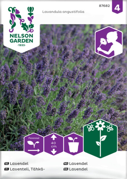 Tähkälaventeli siemen Nelson Garden