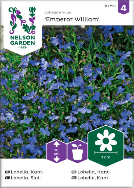 Sinilobelia siemen Nelson Garden Emperor William