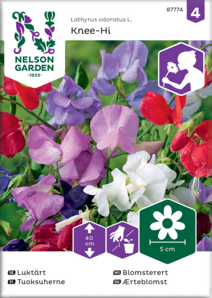 Tuoksuherne siemen Nelson Garden Knee-Hi, seos