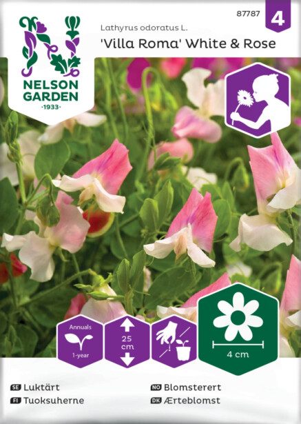 Tuoksuherne siemen Nelson Garden Villa Roma  White & Rose