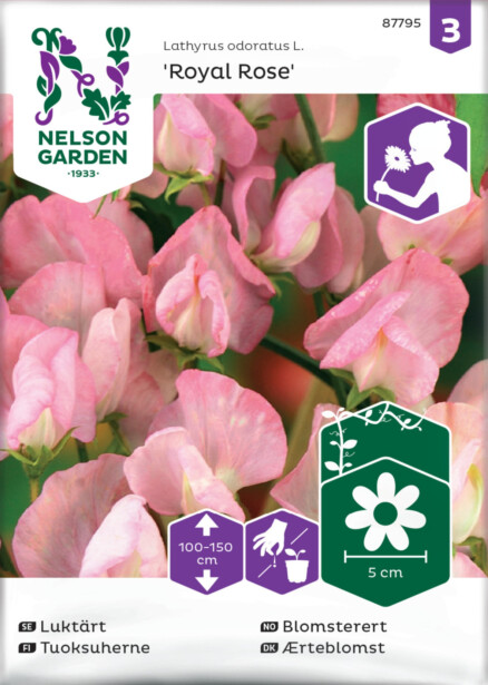 Tuoksuherne siemen Nelson Garden Royal Rose