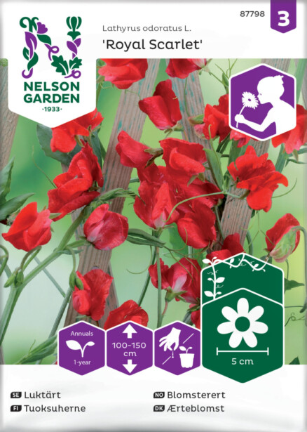 Tuoksuherne siemen Nelson Garden Royal Scarlet