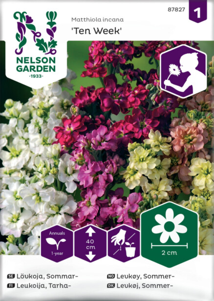 Tarhaleukoija siemen Nelson Garden Ten Week