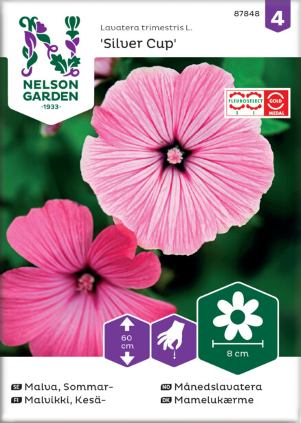 Kesämalvikki siemen Nelson Garden Silver Cup