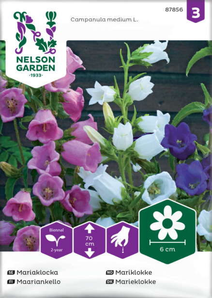 Maariankello siemen Nelson Garden, seos