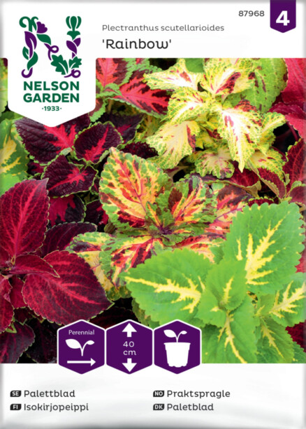 Isokirjopeippi siemen Nelson Garden Rainbow, seos