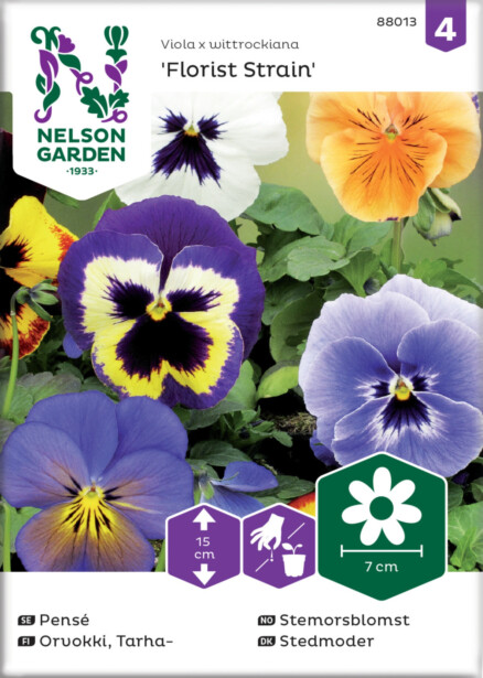 Tarhaorvokki siemen Nelson Garden, Florist Strain, jättiläinen