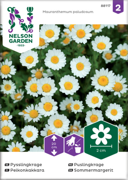 Peikonkakkara siemen Nelson Garden