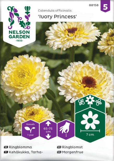 Tarhakehäkukka siemen Nelson Garden Ivory  Princess