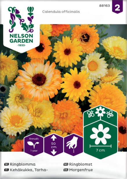 Tarhakehäkukka siemen Nelson Garden, väriseos