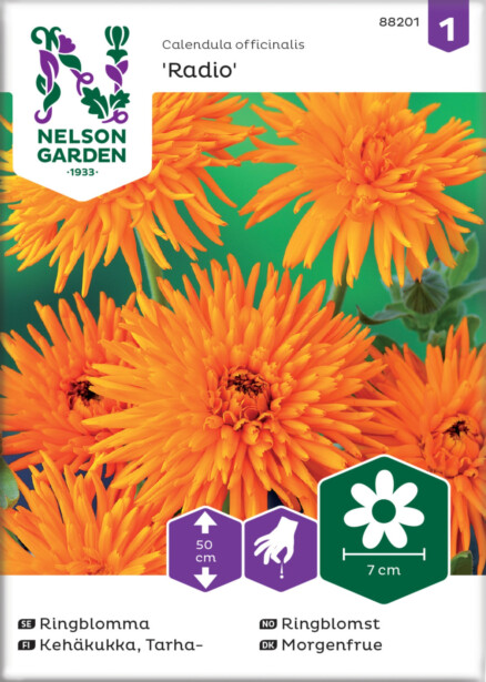 Tarhakehäkukka siemen Nelson Garden Radio