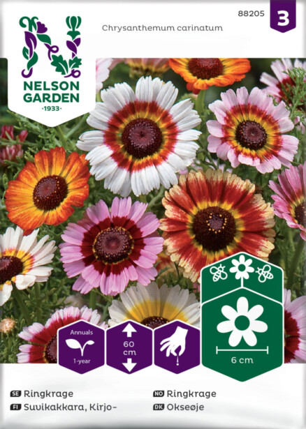 Kirjosuvikakkara siemen Nelson Garden