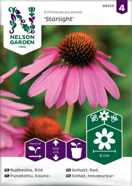 Kaunopunahattu siemen Nelson Garden Starlight