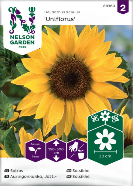 Jättiauringonkukka siemen Nelson Garden Uniflorus