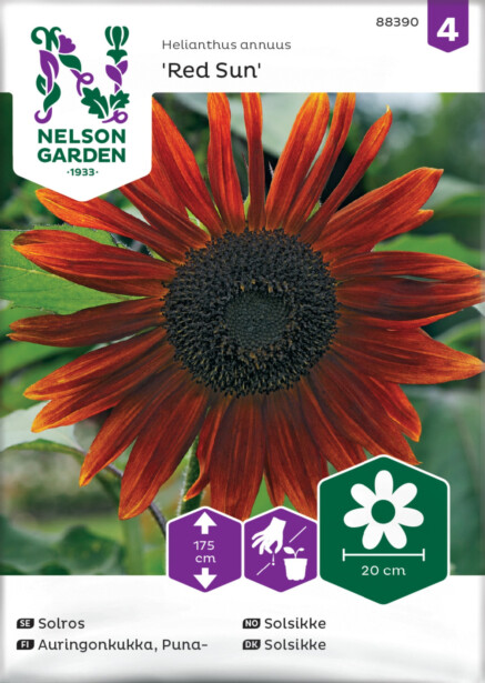 Puna-auringonkukka siemen Nelson Garden Red Sun