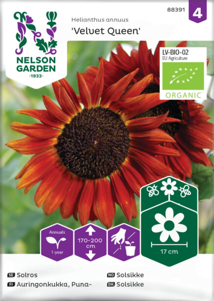 Auringonkukka siemen Nelson Garden Velvet Queen Organic