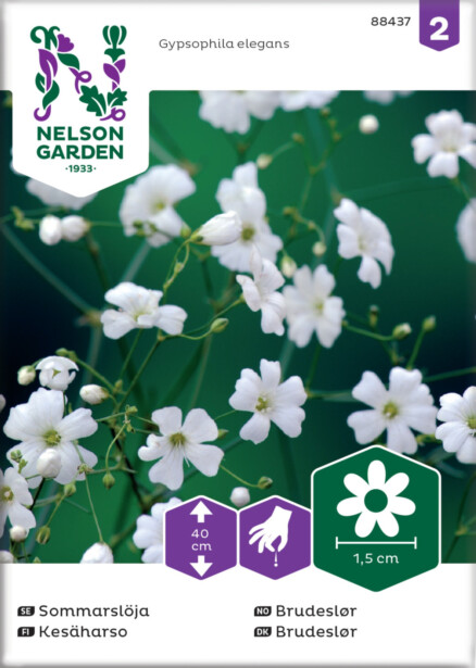 Kesäharso siemen Nelson Garden
