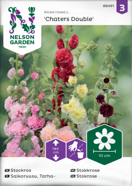 Tarhasalkoruusu siemen Nelson Garden Charter's Double