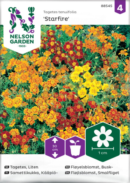 Kääpiösamettikukka siemen Nelson Garden Starfire mixed