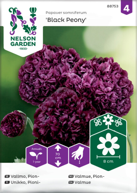 Pioniunikko siemen Nelson Garden Black Peony