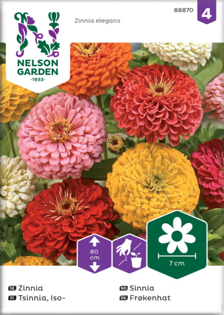 Iso-tsinnia siemen Nelson Garden, väriseos