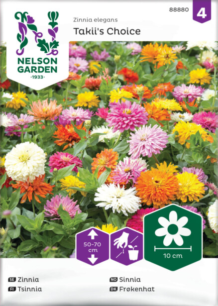 Iso-tsinnia siemen Nelson Garden Takii's Choice