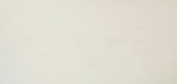 Lattialaatta LPC Minimal White, 30x60cm, matta