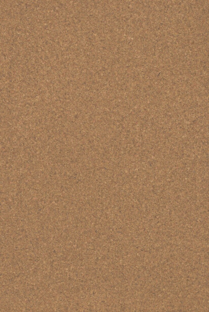 Korkkilattia Wicanders Wise Cork Essence Originals Natural