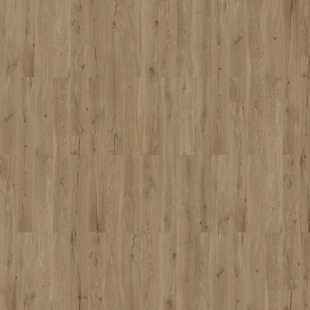 Korkkilattia Wicanders Wise Wood Natural Dakota Oak XL