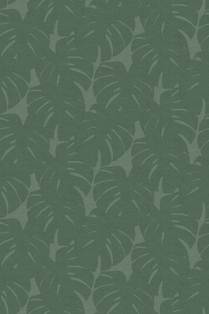 Kuvatapetti Origin Monstera Leaves Photowall XL 357228, 2,0x3,0m