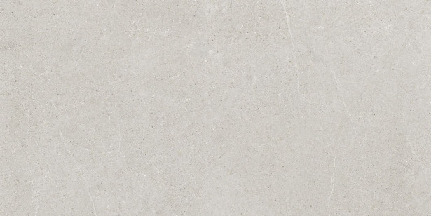Lattialaatta Pukkila Ease Light Grey, matta, sileä, 59.8x119.8cm